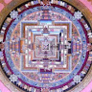 Meet your Posher, Barbara